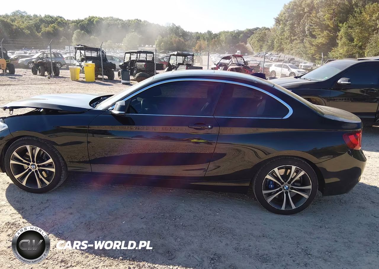 2016 BMW 228I xDrive VIN:WBA1G9C54GVX97133 - 15