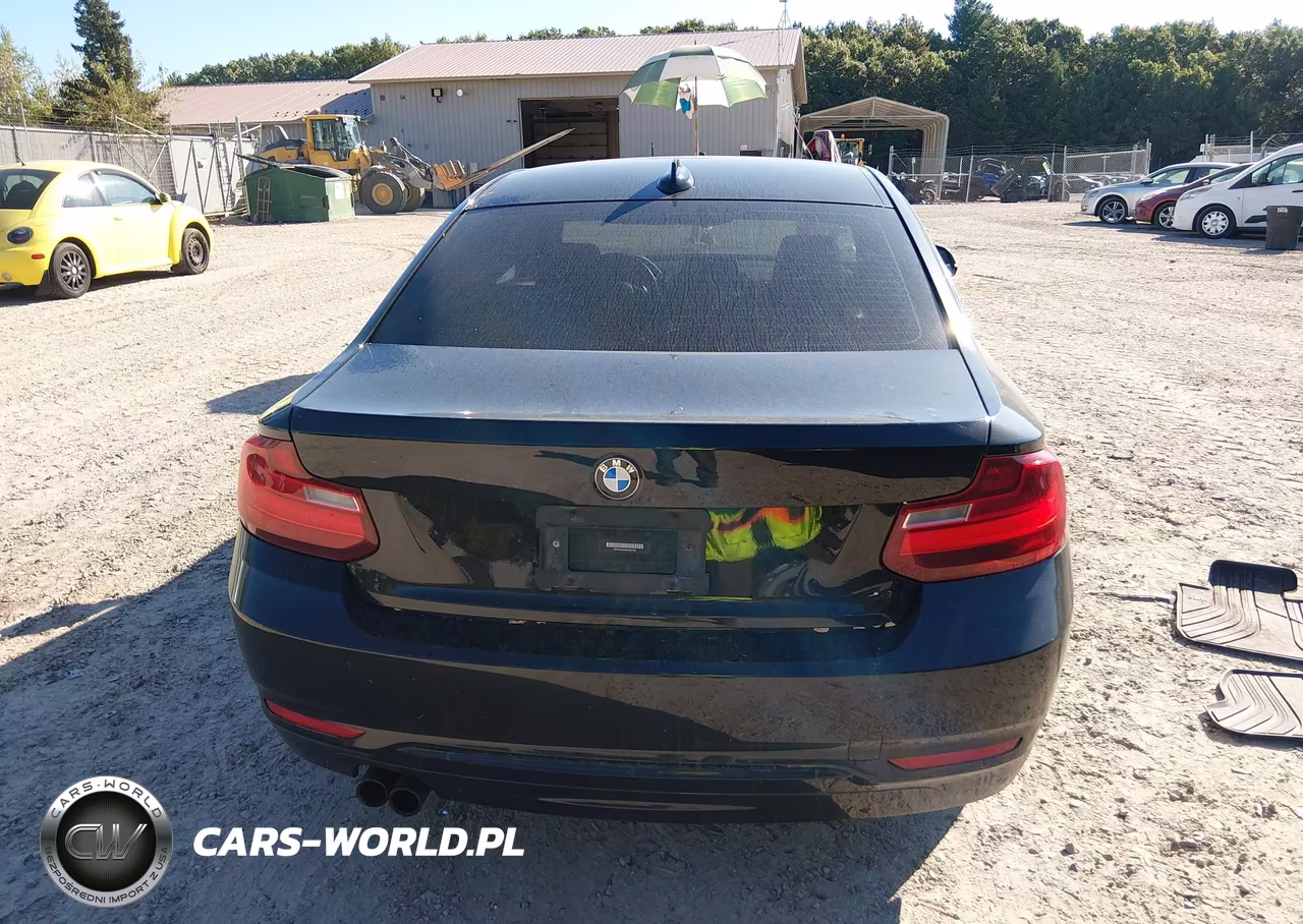 2016 BMW 228I xDrive VIN:WBA1G9C54GVX97133 - 17
