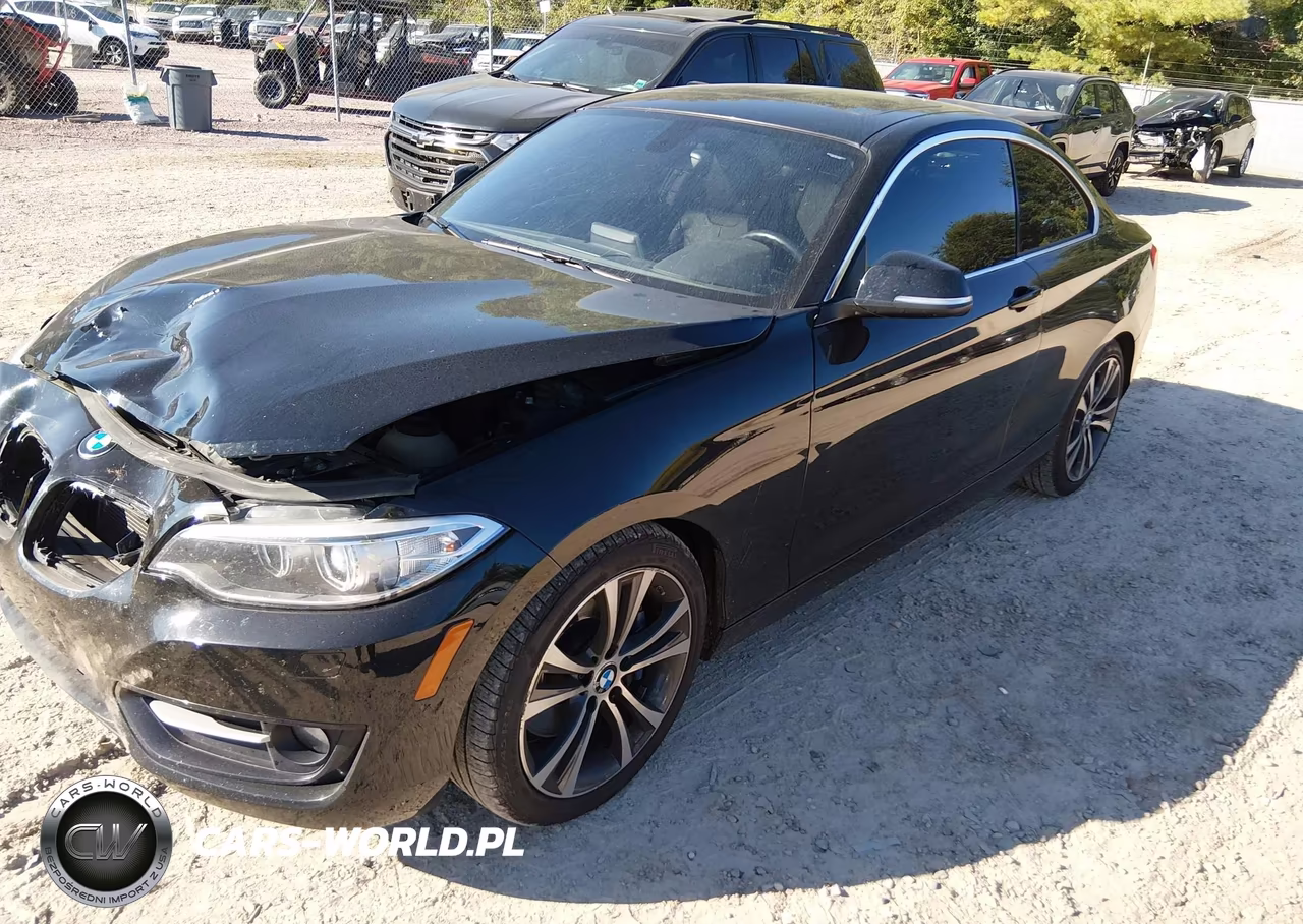 2016 BMW 228I xDrive VIN:WBA1G9C54GVX97133 - 2