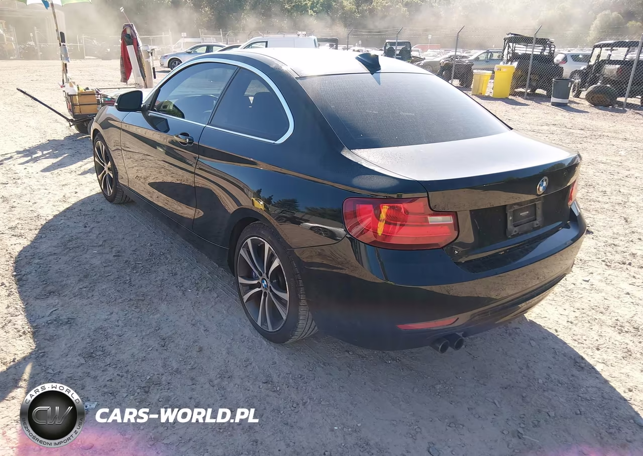 2016 BMW 228I xDrive VIN:WBA1G9C54GVX97133 - 3