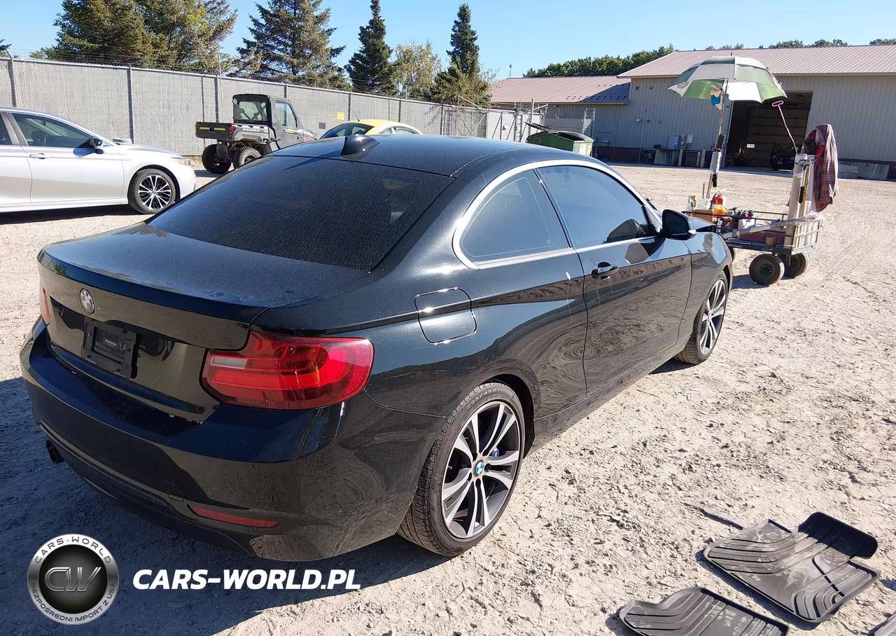 2016 BMW 228I xDrive VIN:WBA1G9C54GVX97133 - 4