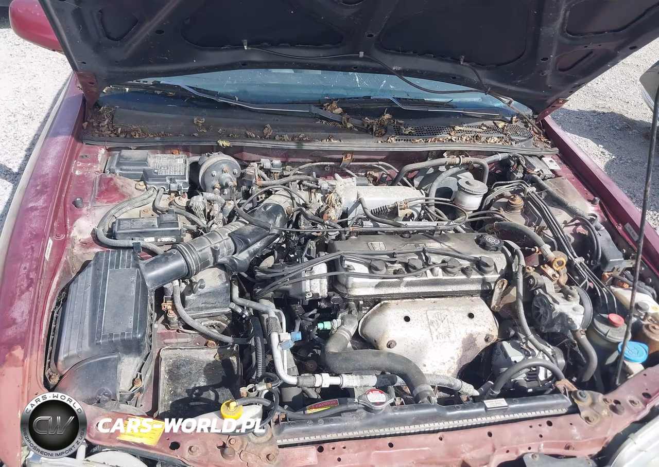 1996 Honda Accord Ex-Ex-R VIN:1HGCD5654TA106517 - 10