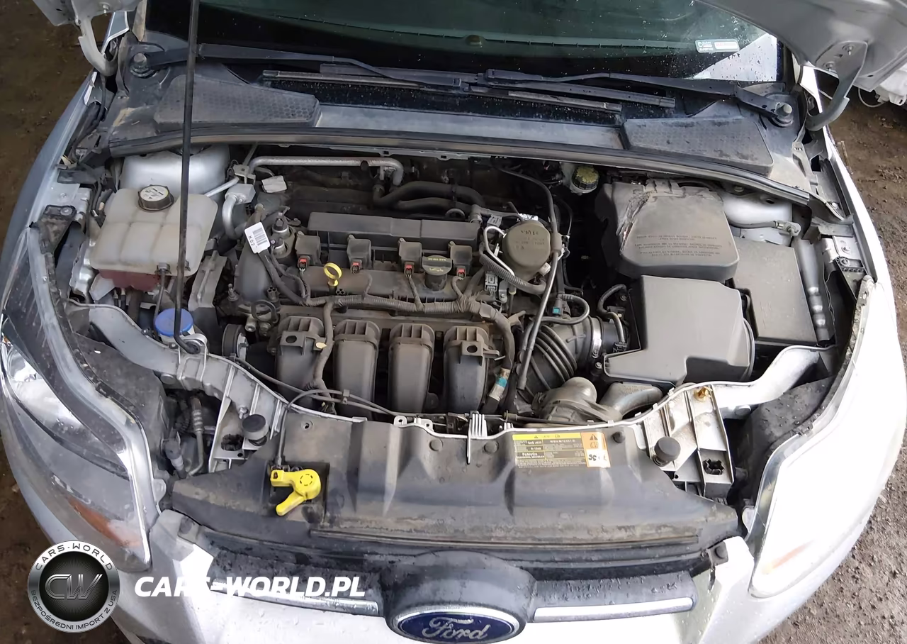 2014 Ford Focus Se VIN:1FADP3K21EL186253 - 10