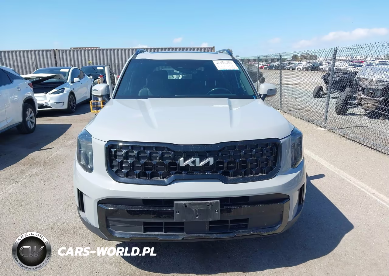 2024 Kia Telluride Ex X-Line VIN:5XYP3DGC4RG413561 - 13
