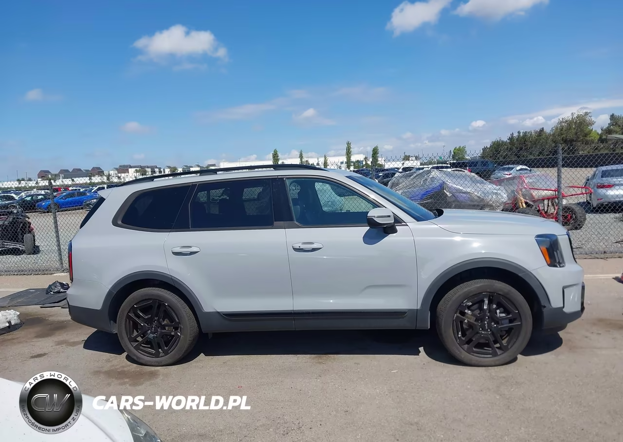 2024 Kia Telluride Ex X-Line VIN:5XYP3DGC4RG413561 - 14