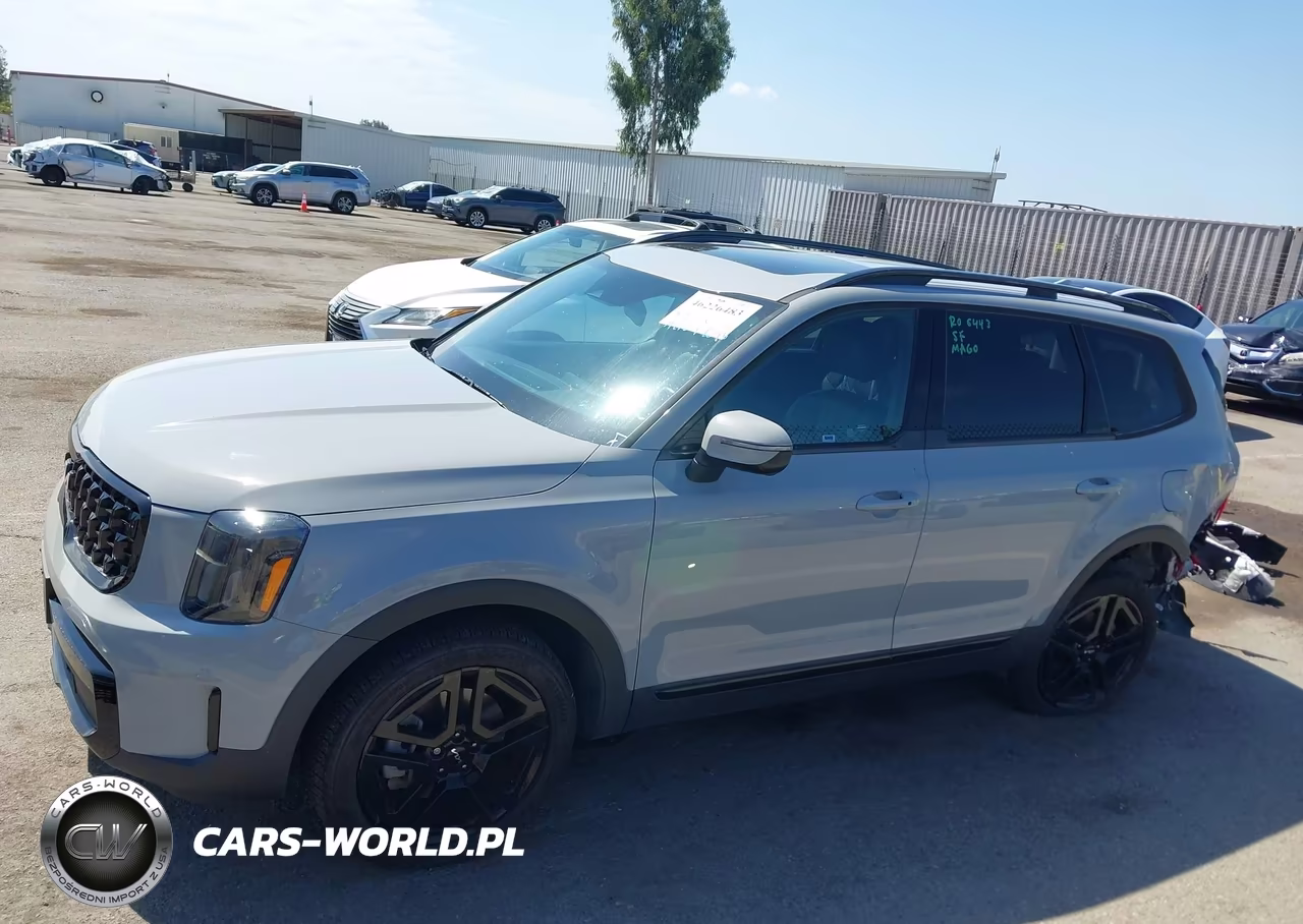 2024 Kia Telluride Ex X-Line VIN:5XYP3DGC4RG413561 - 15