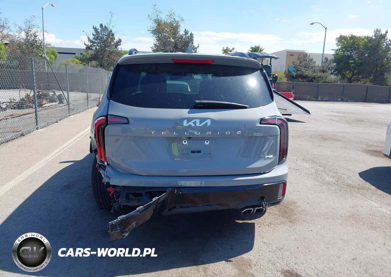 2024 Kia Telluride Ex X-Line VIN:5XYP3DGC4RG413561 - 17