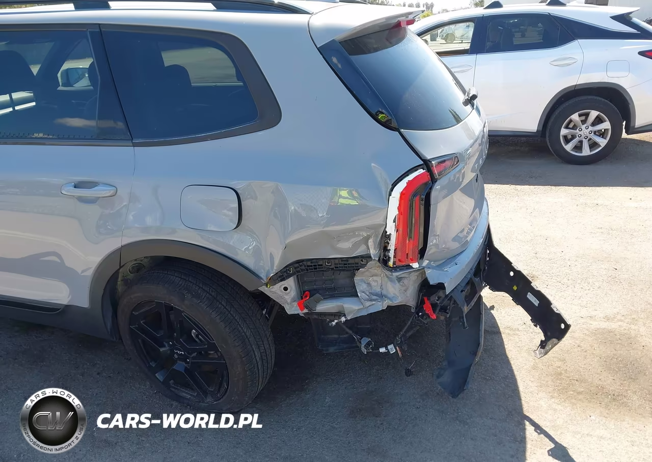 2024 Kia Telluride Ex X-Line VIN:5XYP3DGC4RG413561 - 18