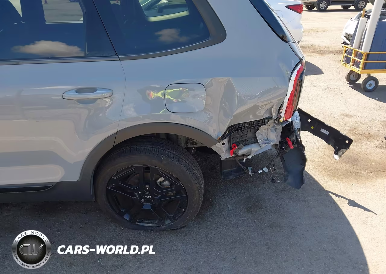 2024 Kia Telluride Ex X-Line VIN:5XYP3DGC4RG413561 - 19