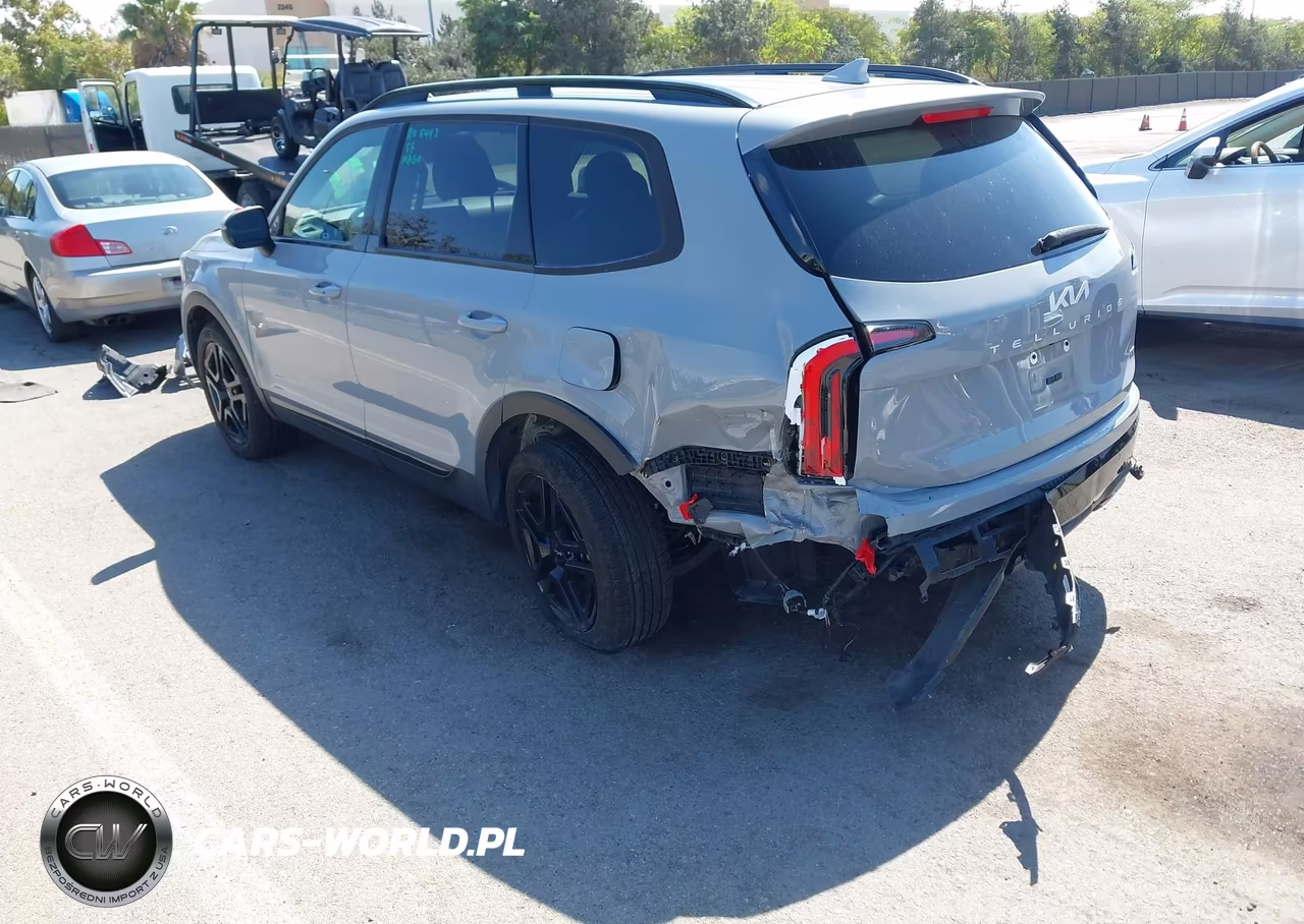 2024 Kia Telluride Ex X-Line VIN:5XYP3DGC4RG413561 - 3