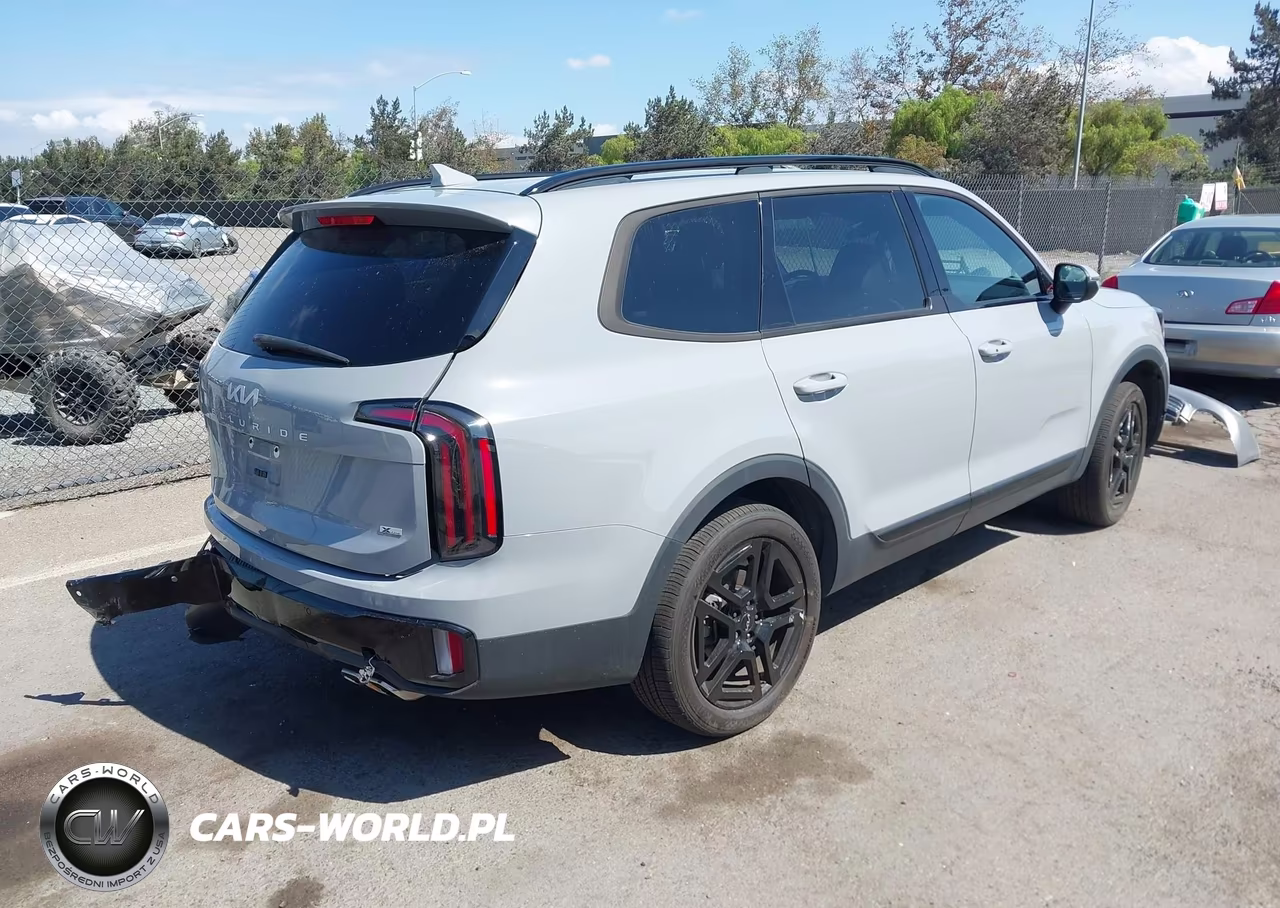 2024 Kia Telluride Ex X-Line VIN:5XYP3DGC4RG413561 - 4