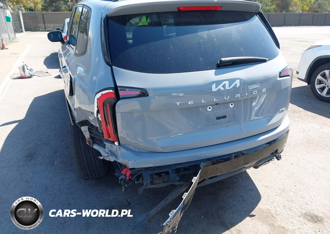 2024 Kia Telluride Ex X-Line VIN:5XYP3DGC4RG413561 - 6