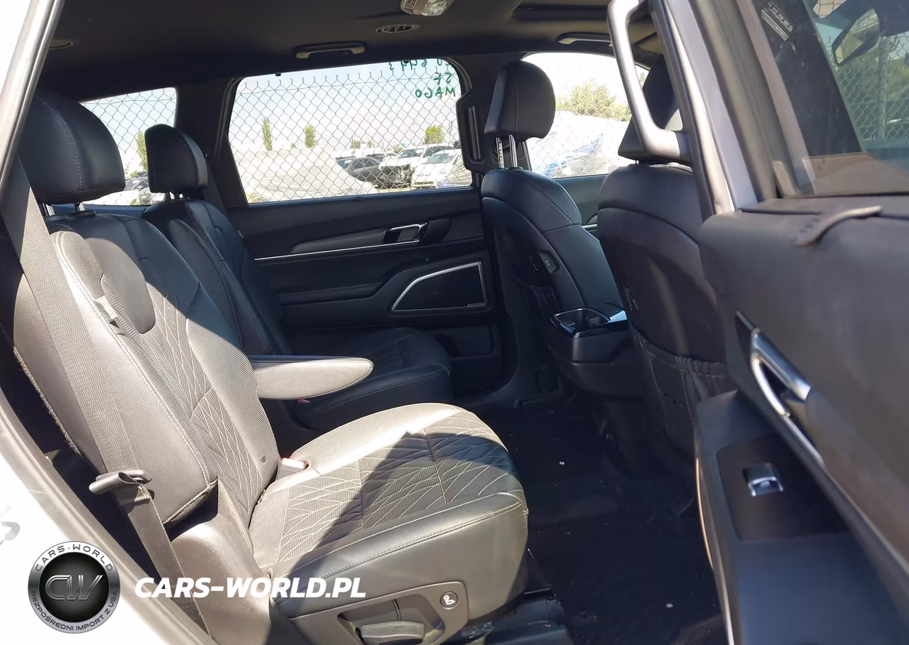 2024 Kia Telluride Ex X-Line VIN:5XYP3DGC4RG413561 - 8