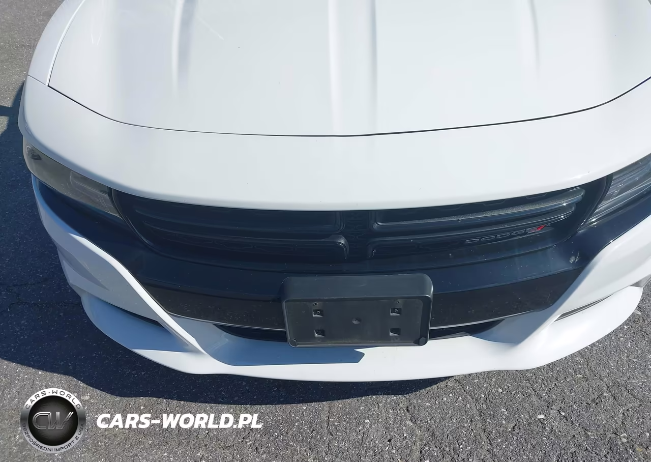 2019 Dodge Charger Police Rwd VIN:2C3CDXAG8KH734040 - 14