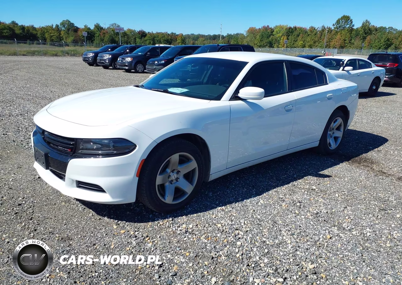 2019 Dodge Charger Police Rwd VIN:2C3CDXAG8KH734040 - 2