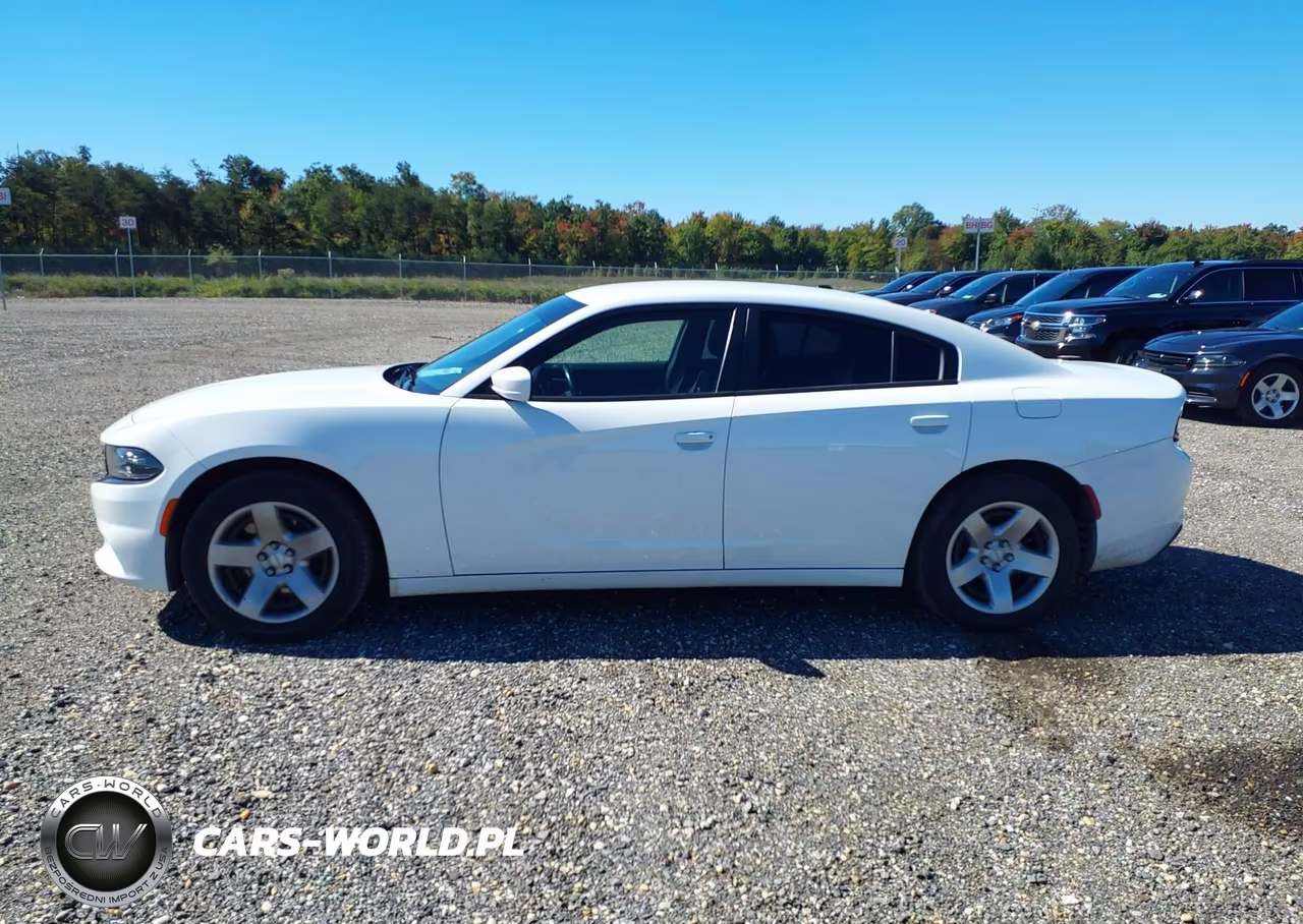 2019 Dodge Charger Police Rwd VIN:2C3CDXAG8KH734040 - 20