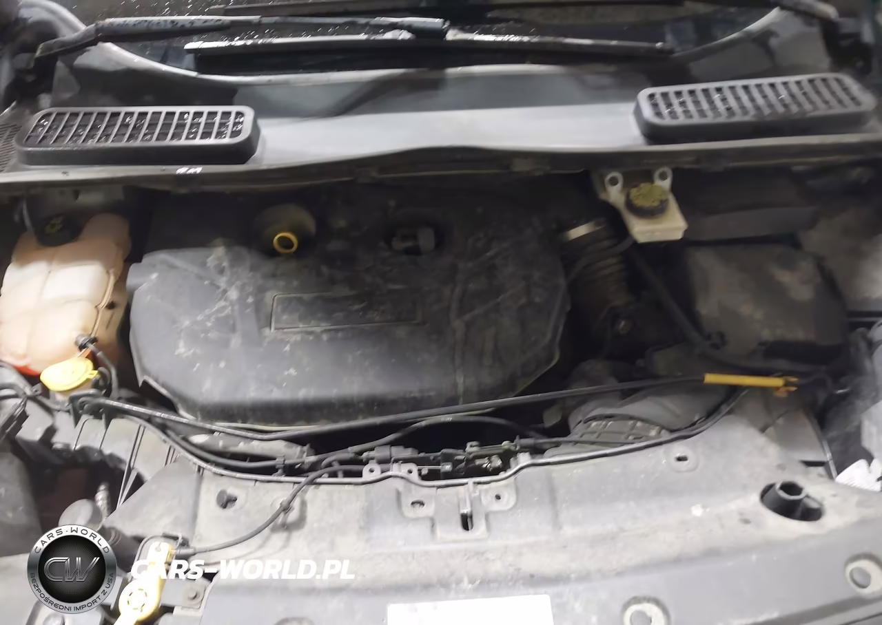 2014 Ford Escape Se VIN:1FMCU9G98EUC94446 - 10
