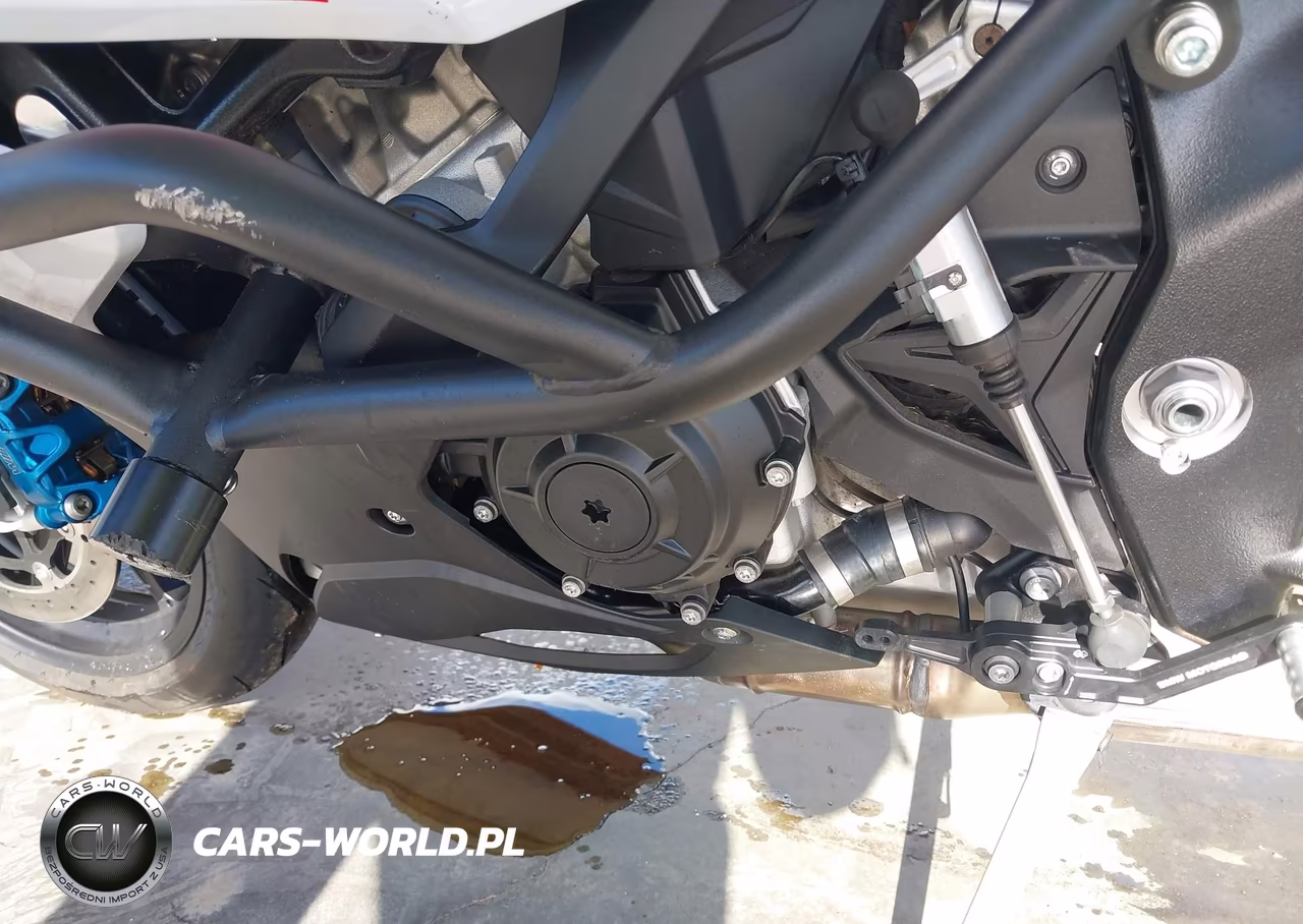 2026 BMW S 1000 Rr VIN:WB10P2305T6M30219 - 9