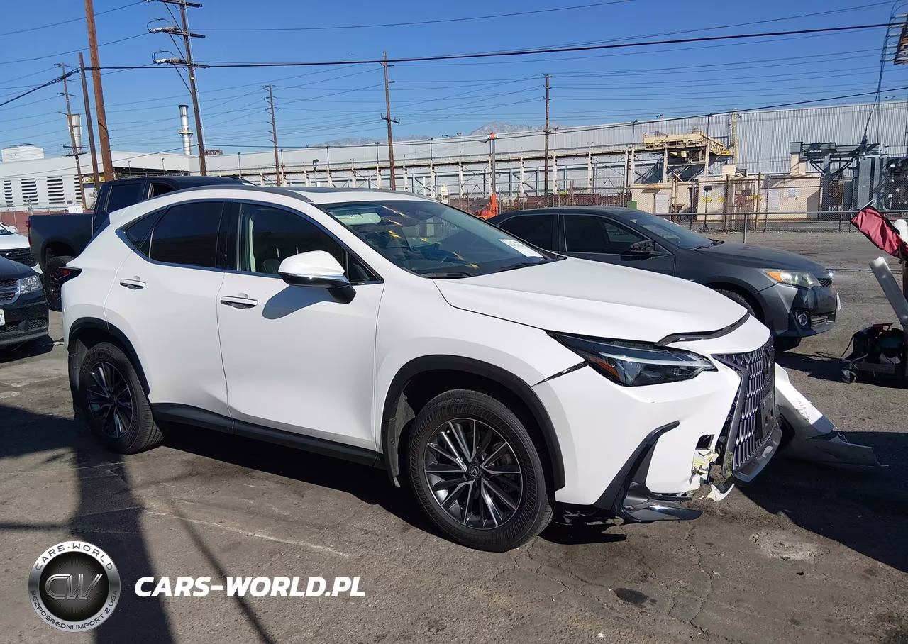 2022 Lexus Nx 350 VIN:2T2AGCEZXNC009600 - 13