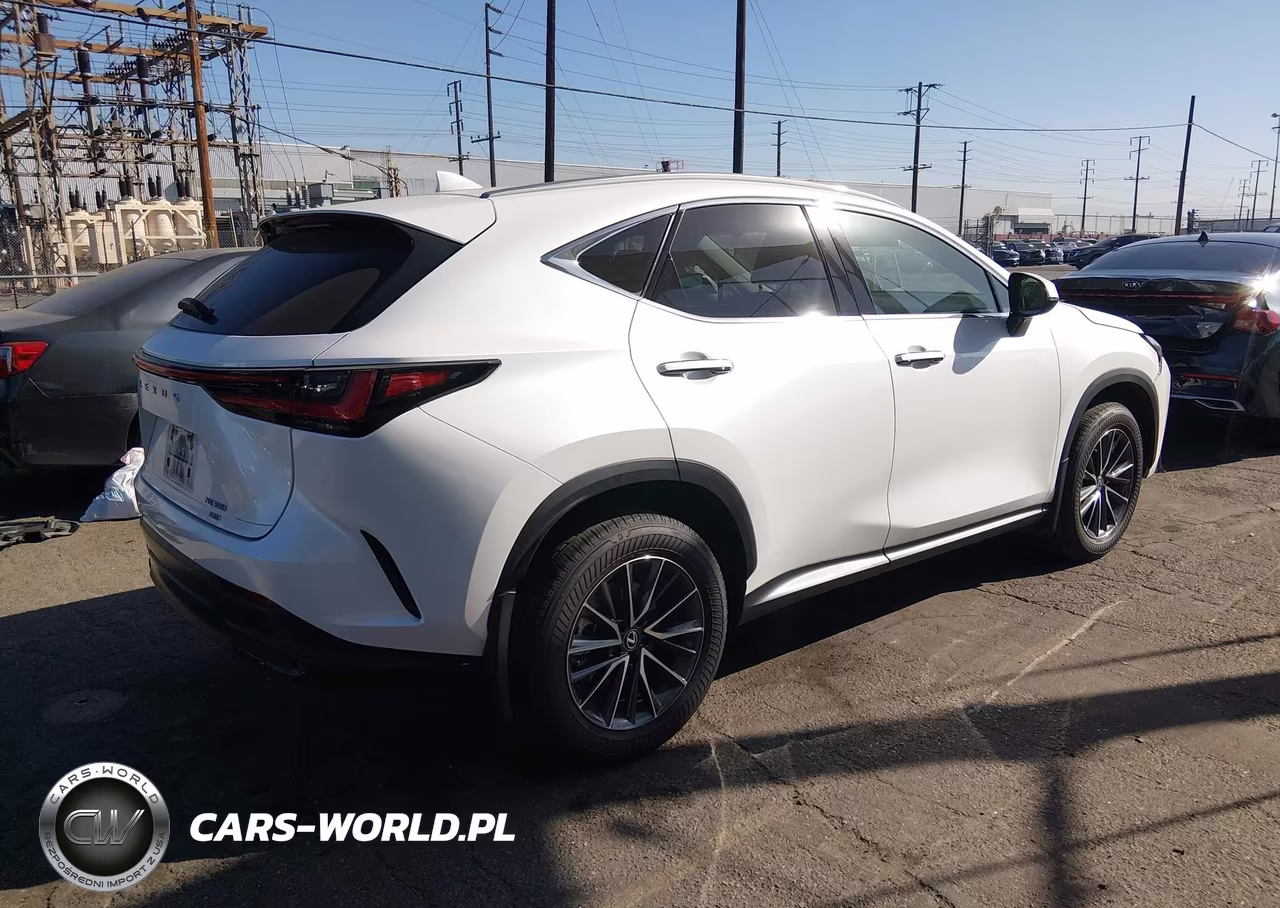 2022 Lexus Nx 350 VIN:2T2AGCEZXNC009600 - 4