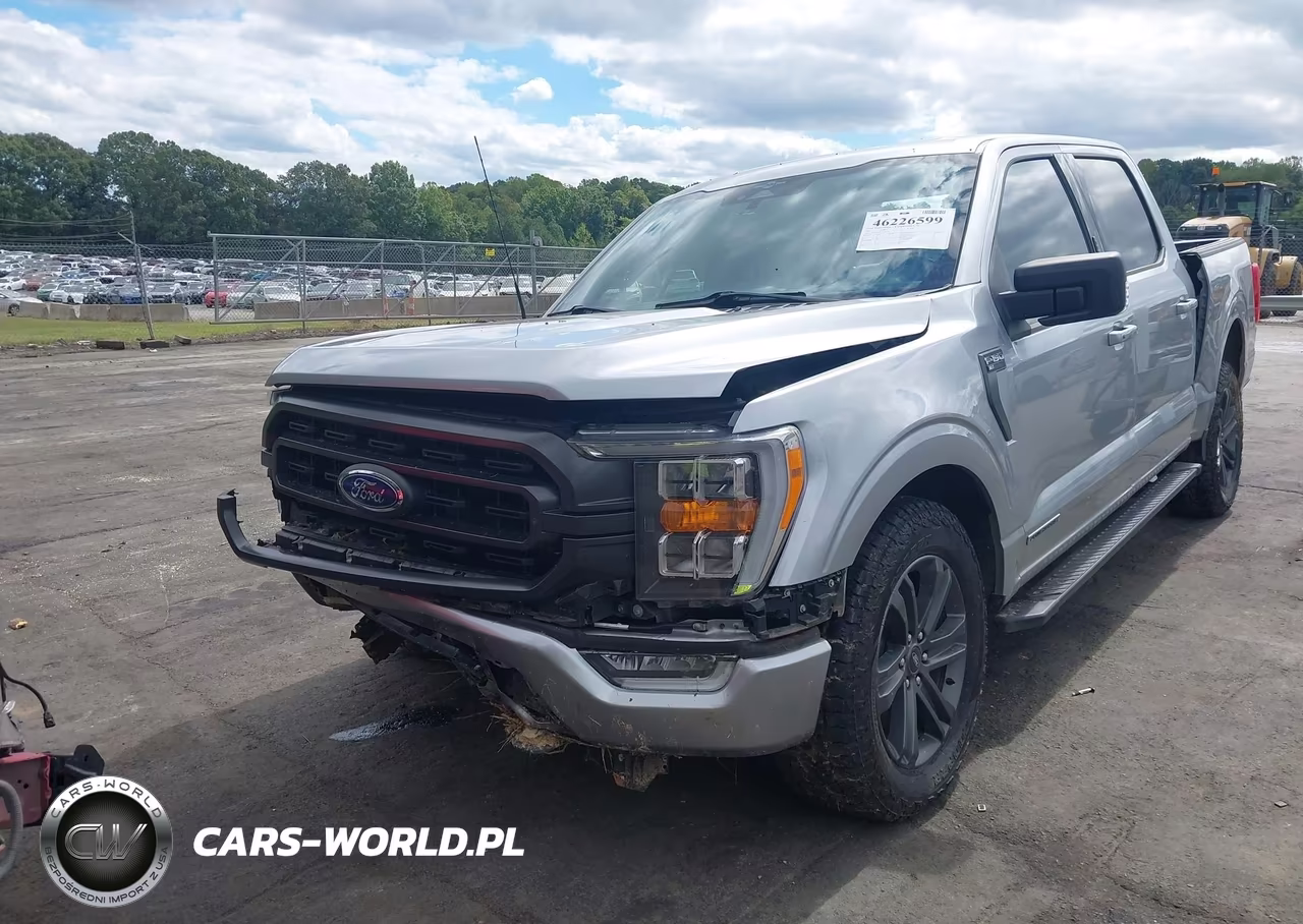 2023 Ford F-150 Xlt VIN:1FTFW1ED3PFC84774 - 2