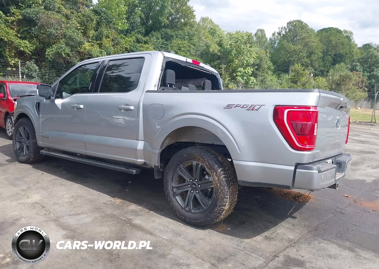 2023 Ford F-150 Xlt VIN:1FTFW1ED3PFC84774 - 3