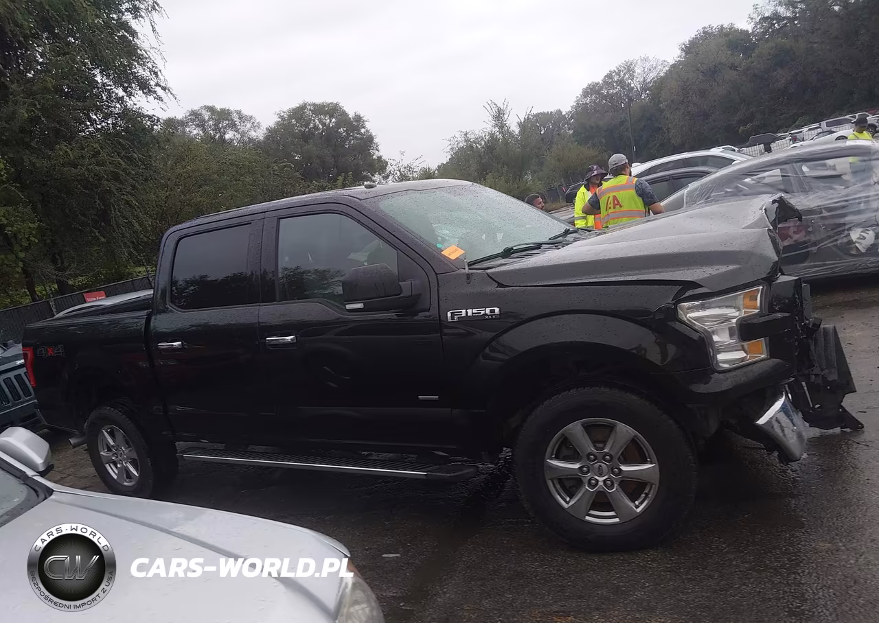 2015 Ford F150 Supercrew VIN:1FTEW1EGXFKD09813 - 13