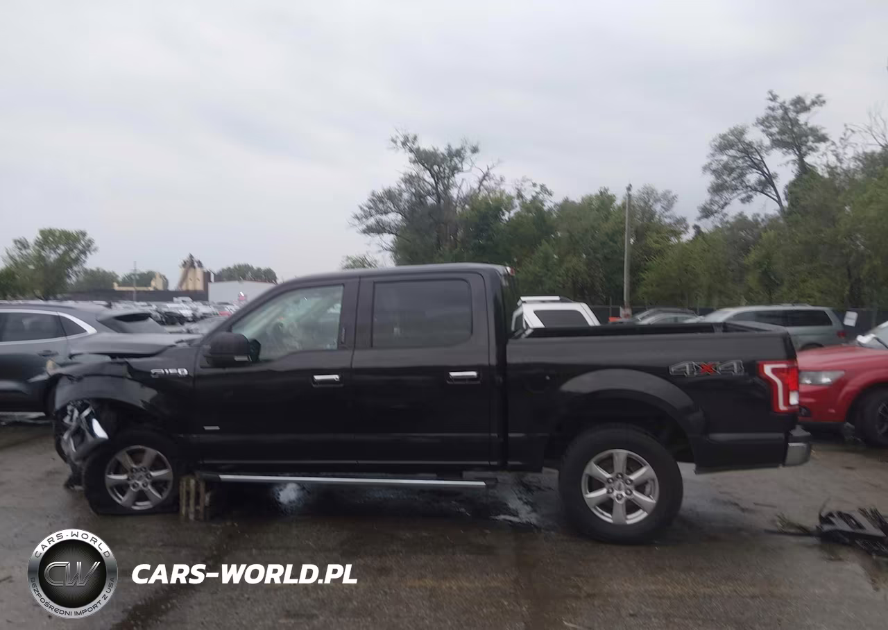 2015 Ford F150 Supercrew VIN:1FTEW1EGXFKD09813 - 14