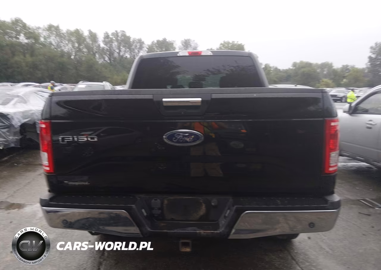 2015 Ford F150 Supercrew VIN:1FTEW1EGXFKD09813 - 16