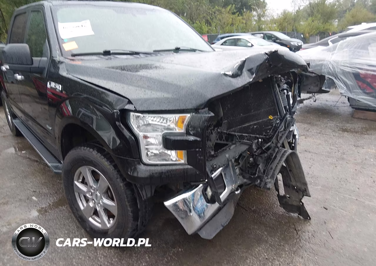 2015 Ford F150 Supercrew VIN:1FTEW1EGXFKD09813 - 18