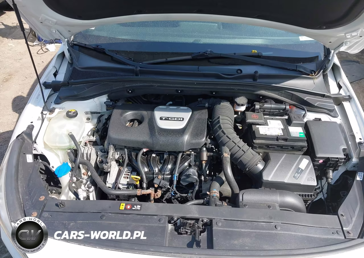2018 Hyundai Elantra Gt Sport VIN:KMHH55LC3JU077863 - 10