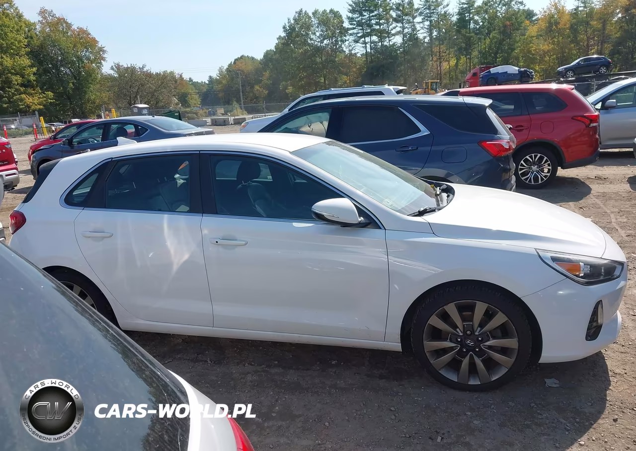 2018 Hyundai Elantra Gt Sport VIN:KMHH55LC3JU077863 - 13