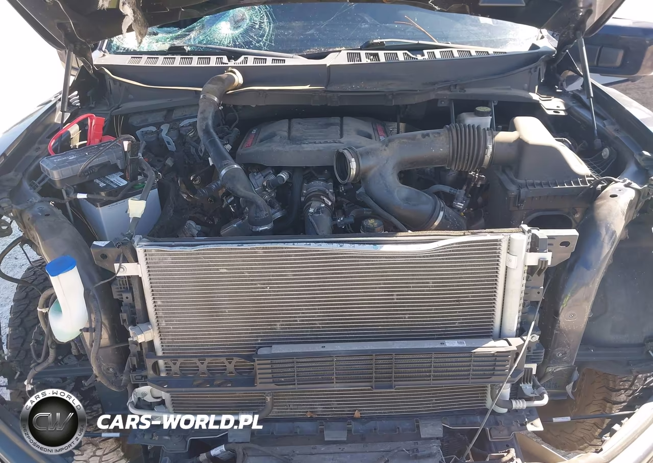 2022 Ford F-150 Raptor VIN:1FTFW1RG1NFA83733 - 10