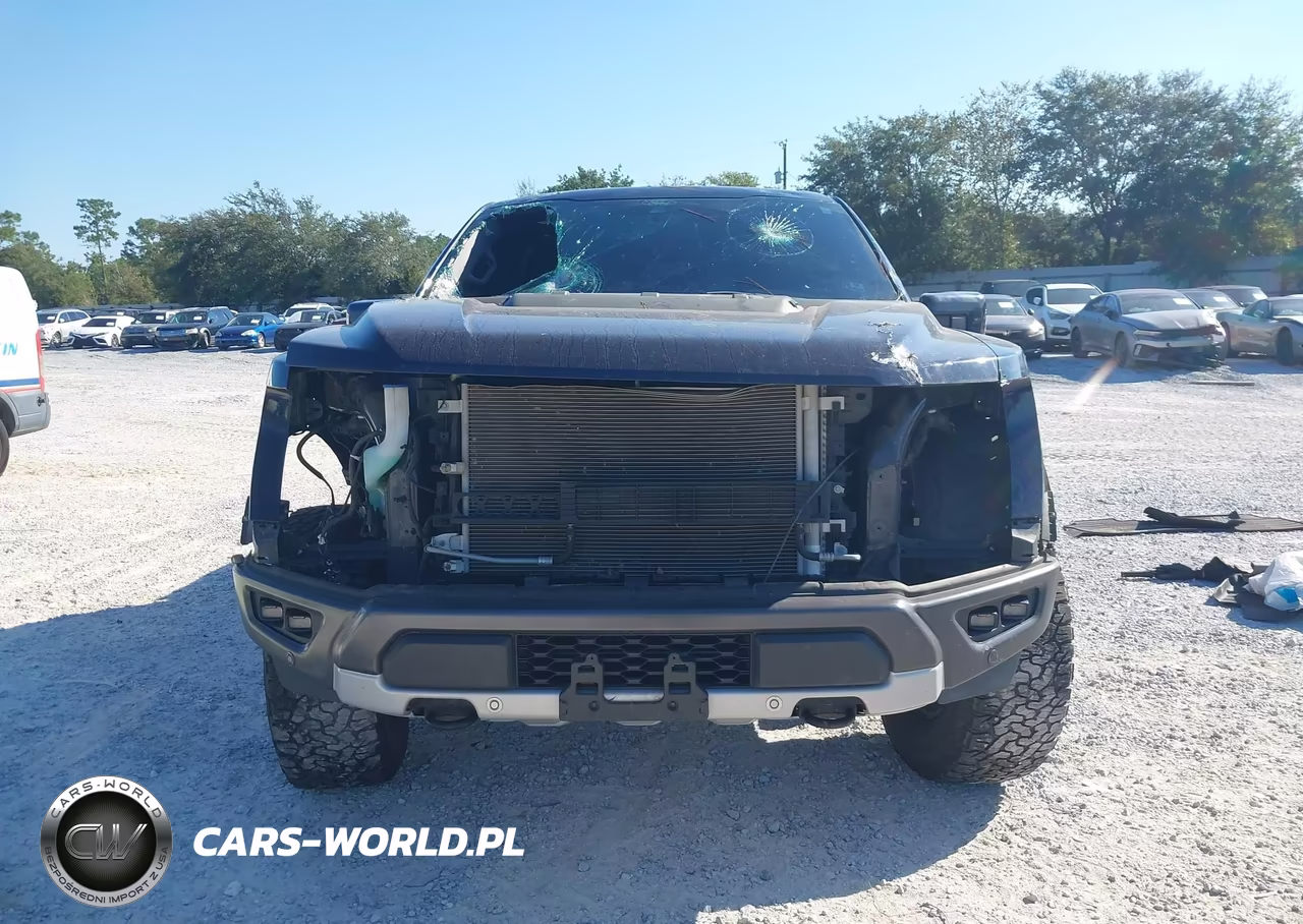 2022 Ford F-150 Raptor VIN:1FTFW1RG1NFA83733 - 13