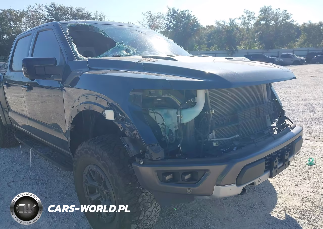 2022 Ford F-150 Raptor VIN:1FTFW1RG1NFA83733 - 19