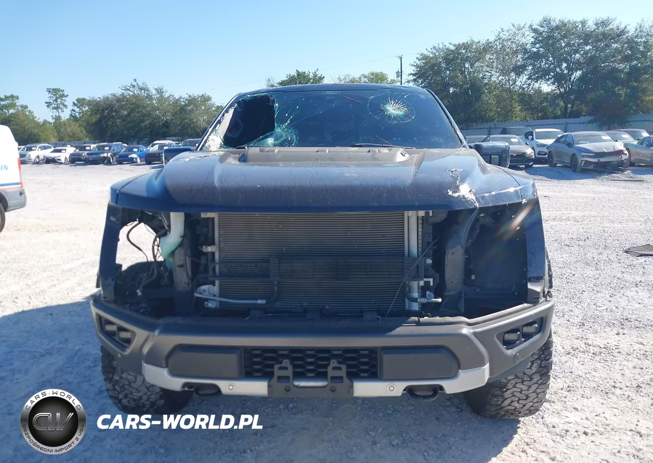 2022 Ford F-150 Raptor VIN:1FTFW1RG1NFA83733 - 6