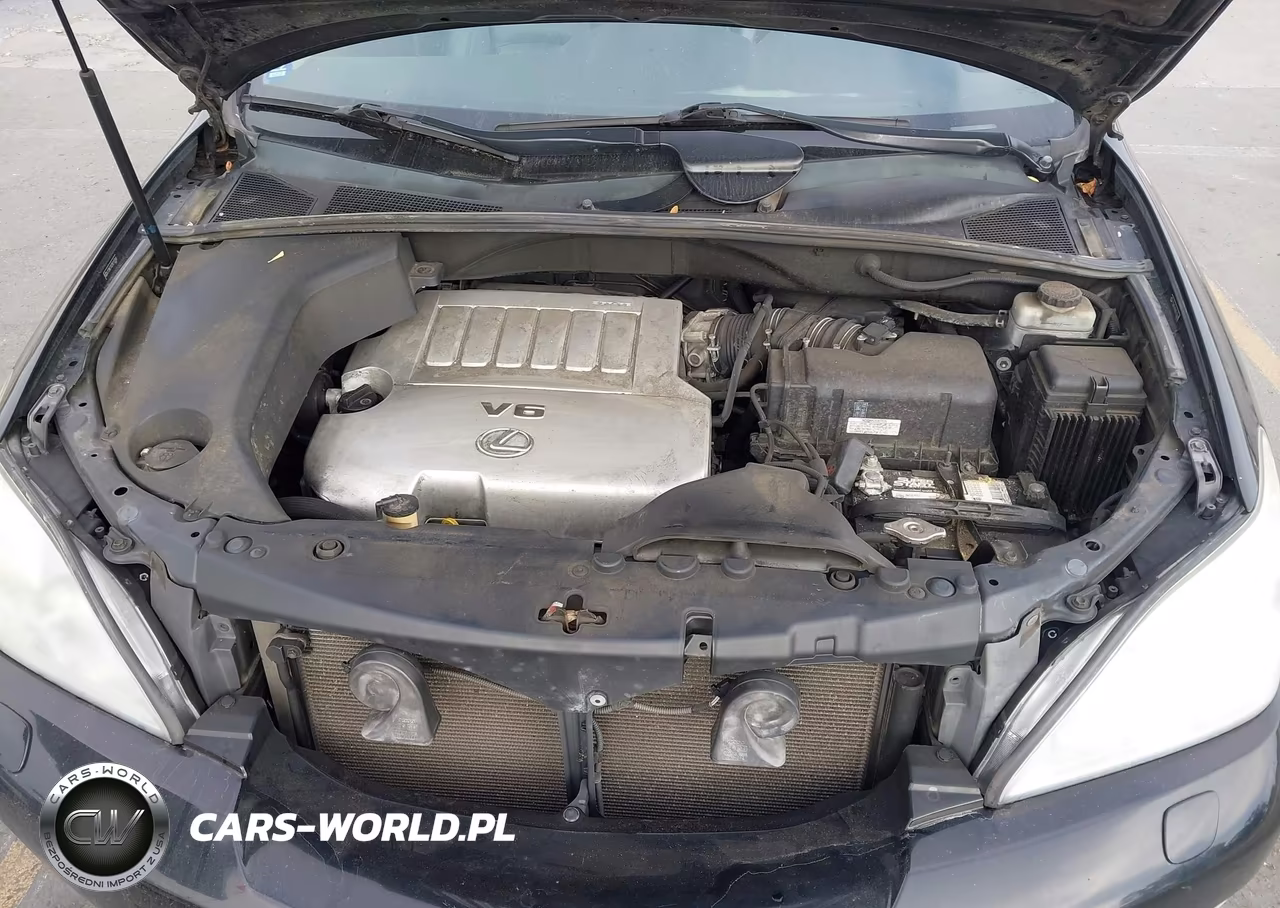 2009 Lexus Rx 350 VIN:2T2HK31U29C113348 - 10