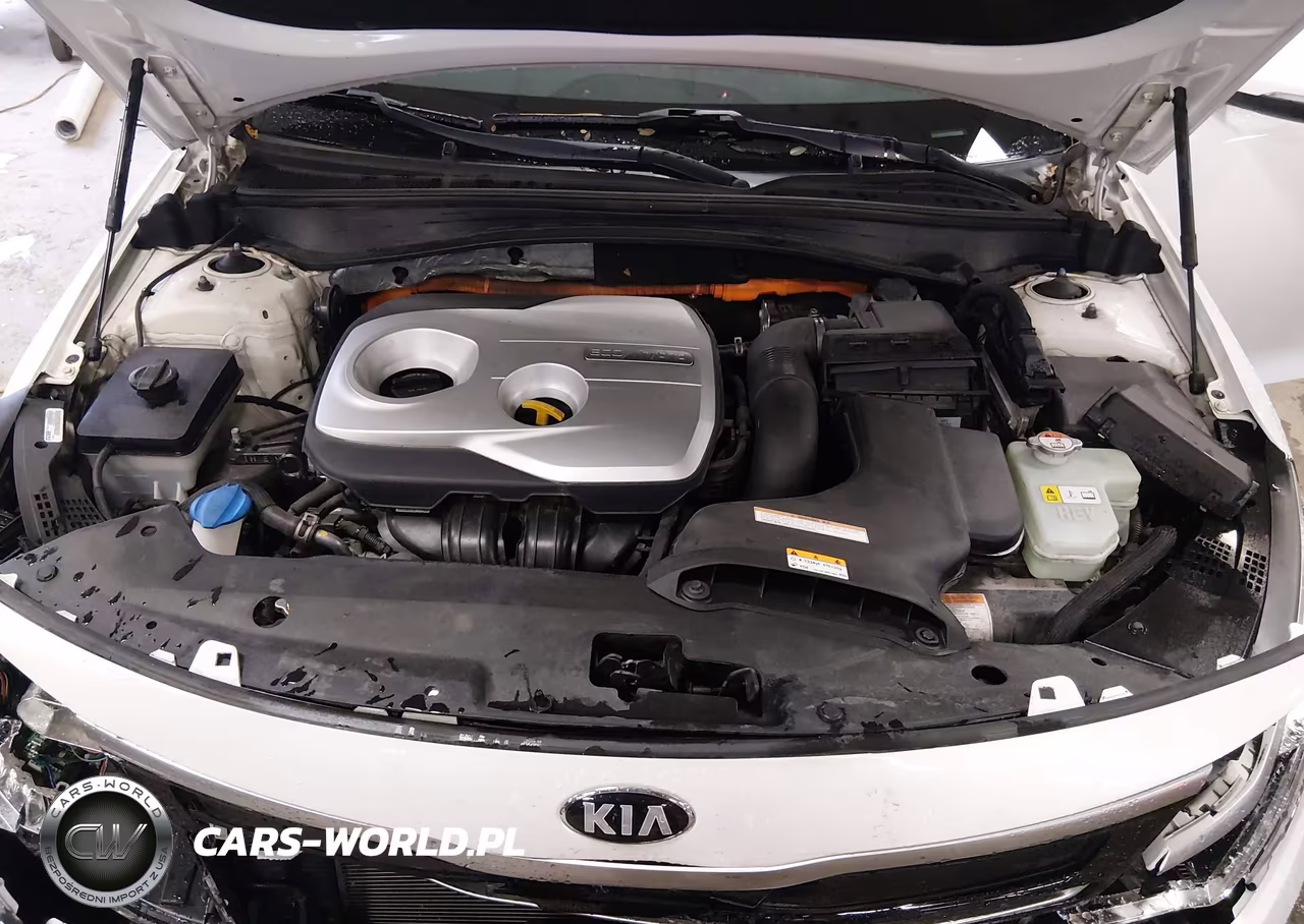 2017 Kia Optima Hybrid Ex VIN:KNAGU4LE1H5012879 - 10