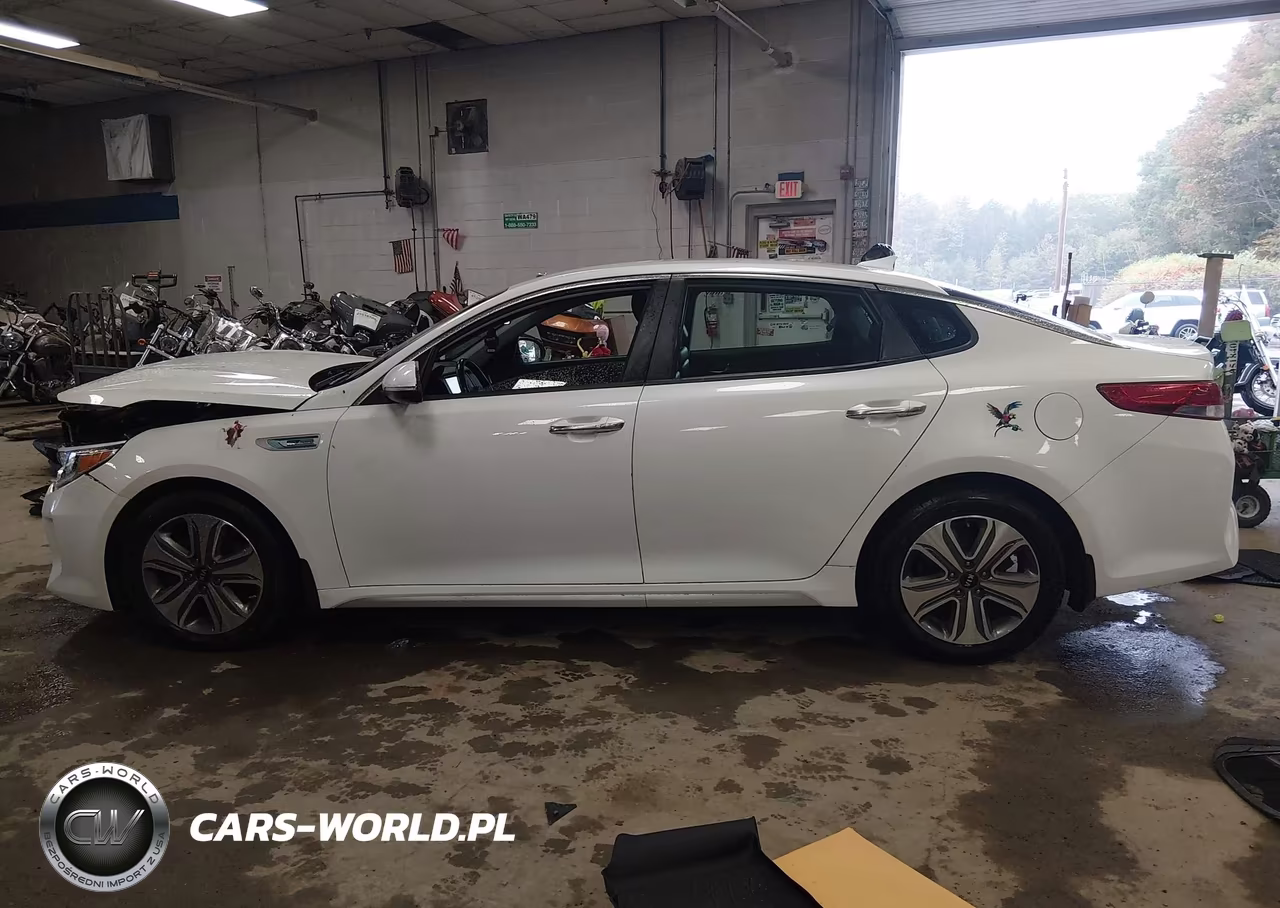 2017 Kia Optima Hybrid Ex VIN:KNAGU4LE1H5012879 - 14