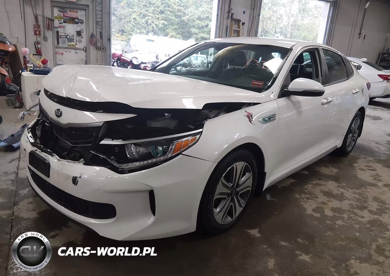2017 Kia Optima Hybrid Ex VIN:KNAGU4LE1H5012879 - 2