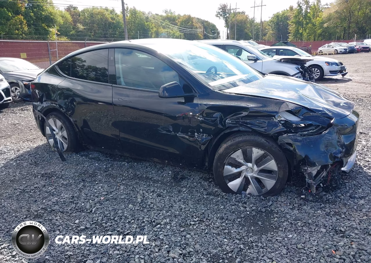 2023 Tesla Model Y Awd-Long Range Dual Motor All-Wheel Drive VIN:7SAYGAEE9PF923312 - 19