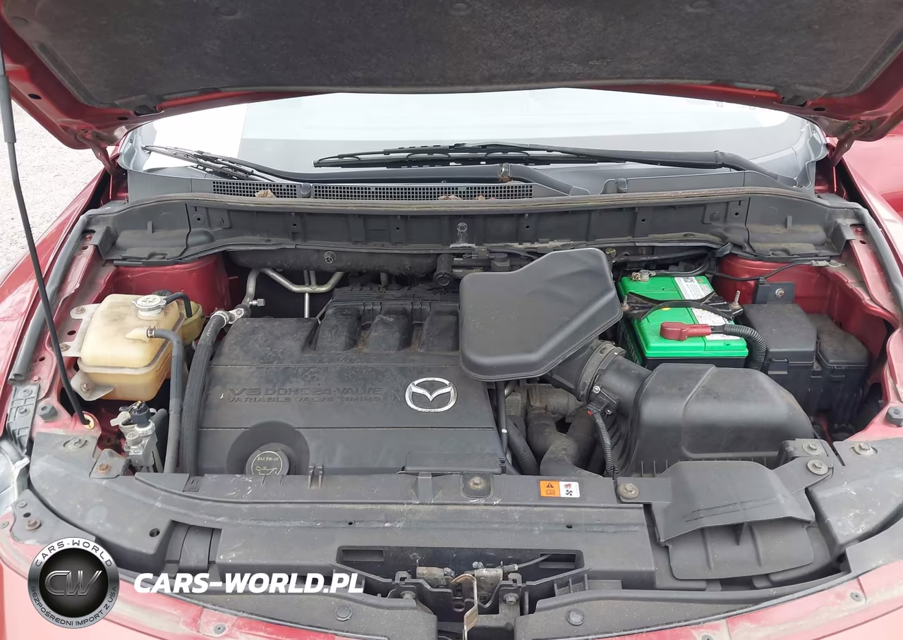 2013 Mazda Cx-9 Touring VIN:JM3TB2CV1D0419336 - 10