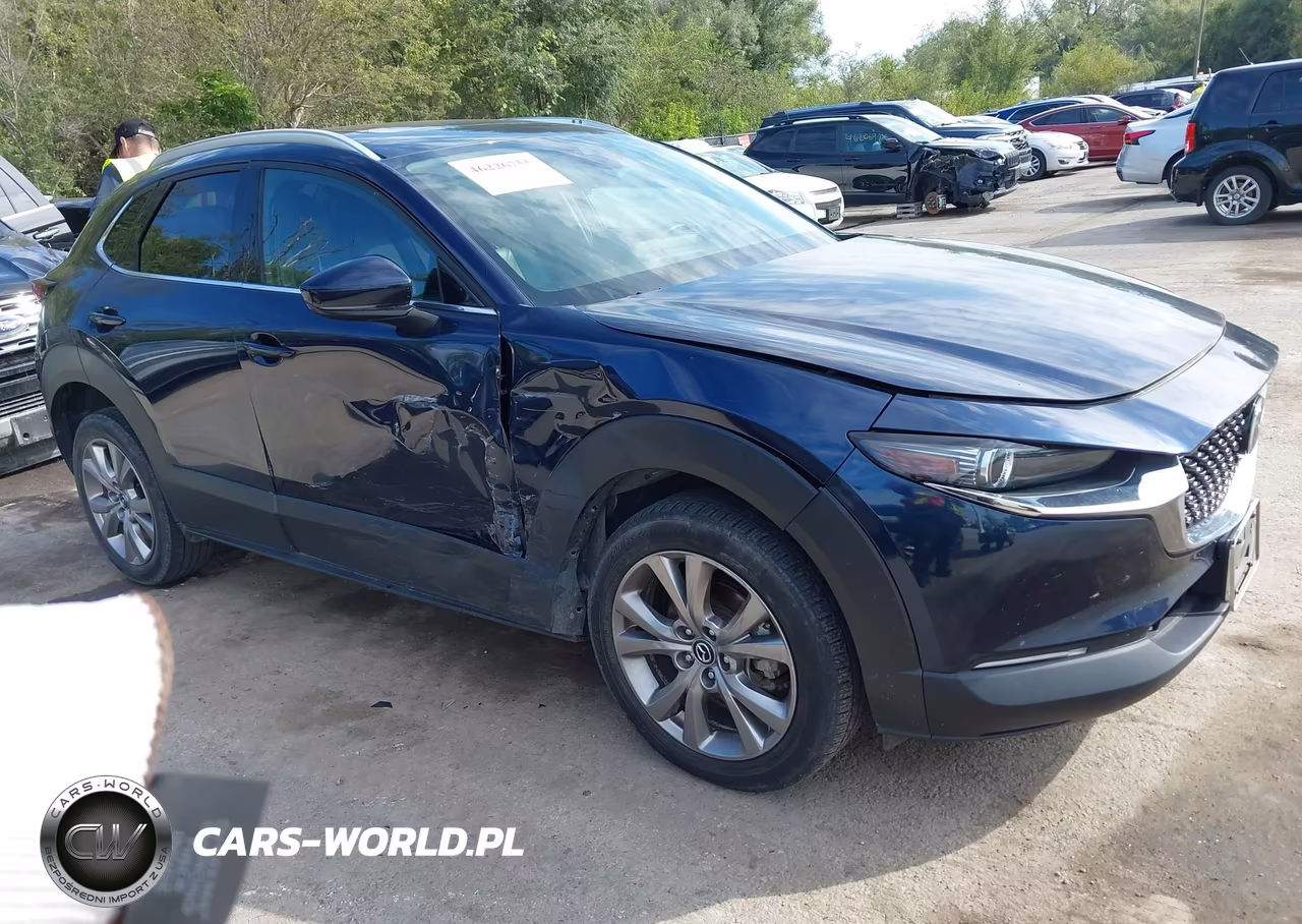 2020 Mazda Cx-30 Premium Package