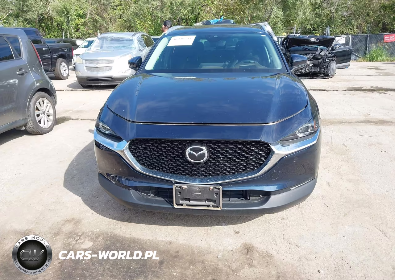 2020 Mazda Cx-30 Premium Package VIN:3MVDMBEM5LM130501 - 11