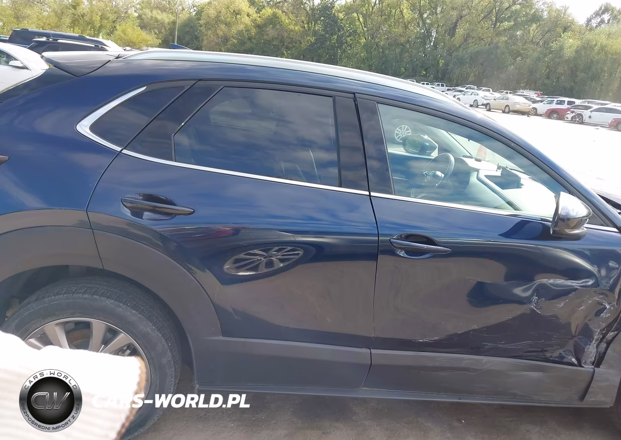 2020 Mazda Cx-30 Premium Package VIN:3MVDMBEM5LM130501 - 12
