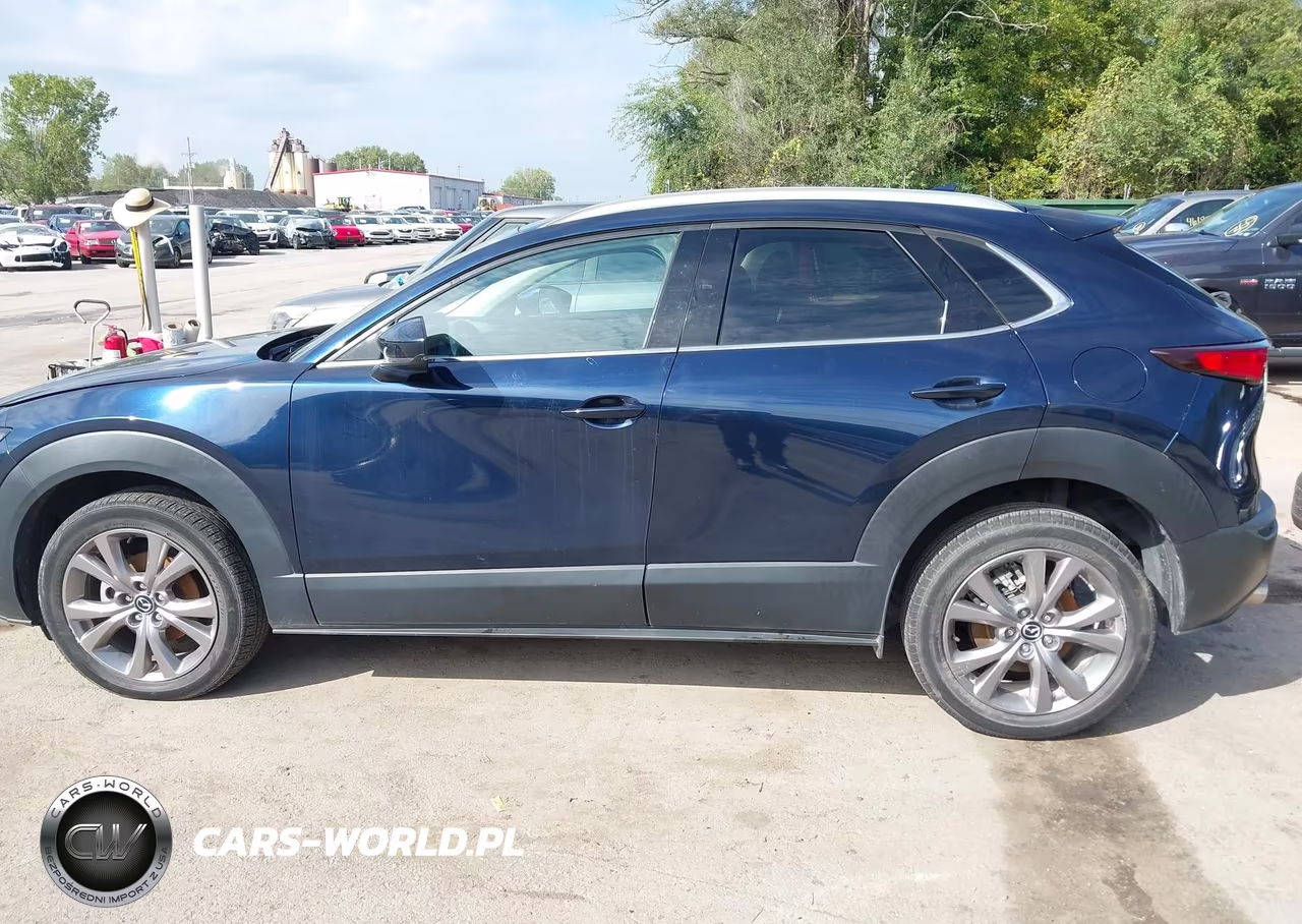 2020 Mazda Cx-30 Premium Package VIN:3MVDMBEM5LM130501 - 13