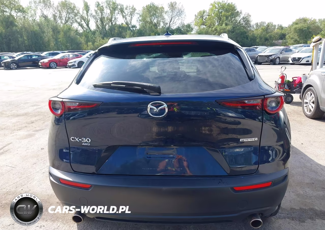 2020 Mazda Cx-30 Premium Package VIN:3MVDMBEM5LM130501 - 15