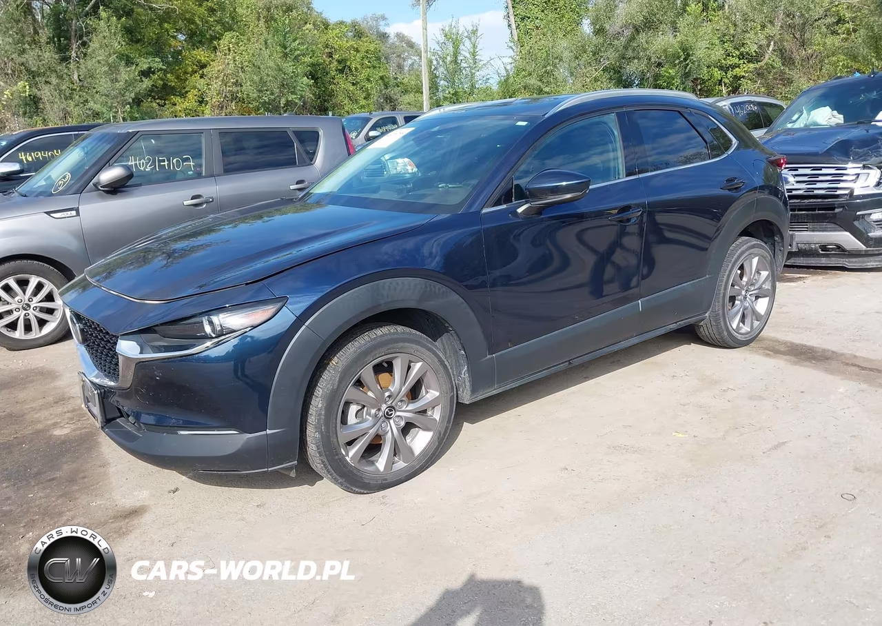 2020 Mazda Cx-30 Premium Package VIN:3MVDMBEM5LM130501 - 2