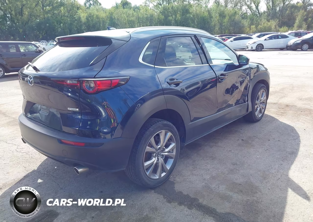2020 Mazda Cx-30 Premium Package VIN:3MVDMBEM5LM130501 - 3