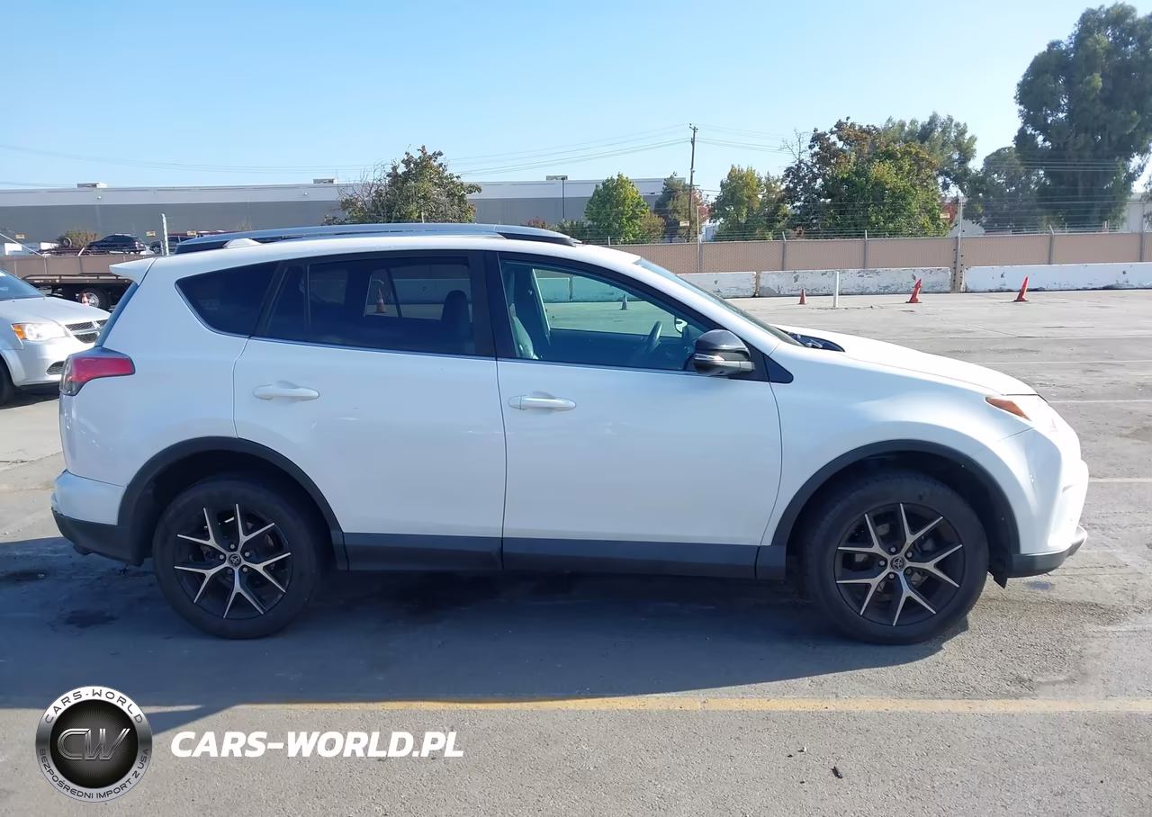 2016 Toyota Rav4 Se VIN:2T3NFREV9GW256950 - 13